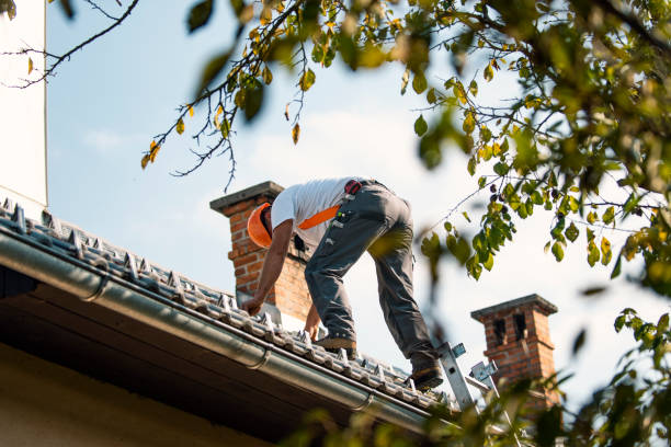 Best Roof Leak Repair  in Dillonvale, OH