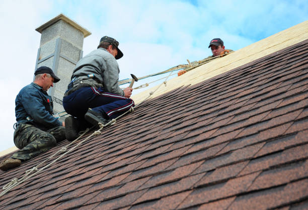 Best Gutter Installation and Roofing  in Dillonvale, OH