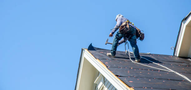 Best Roof Gutter Cleaning  in Dillonvale, OH